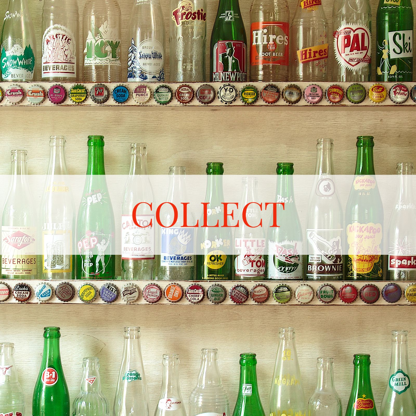 Collector Close-Up: Soda Bottles