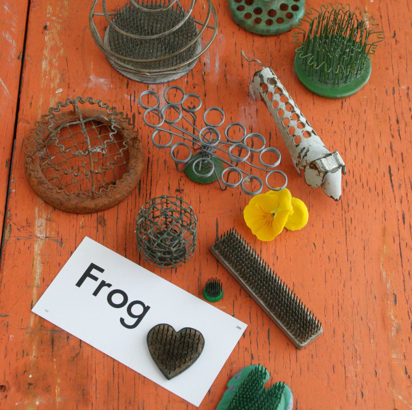 Fun with Flower Frogs