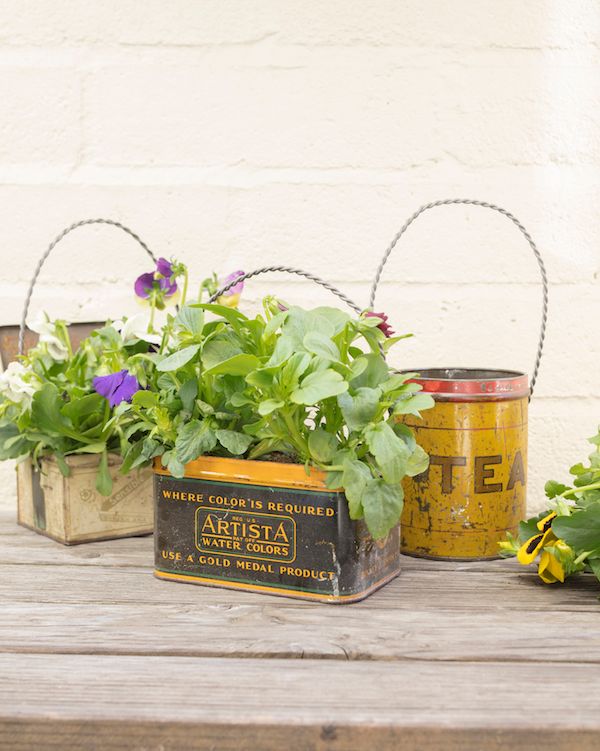 Flowers planted in old tins with twisted wire handles.