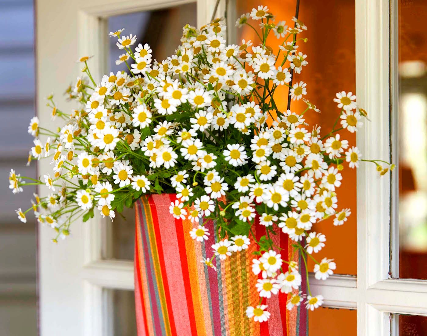 Thoroughly Modern May Day