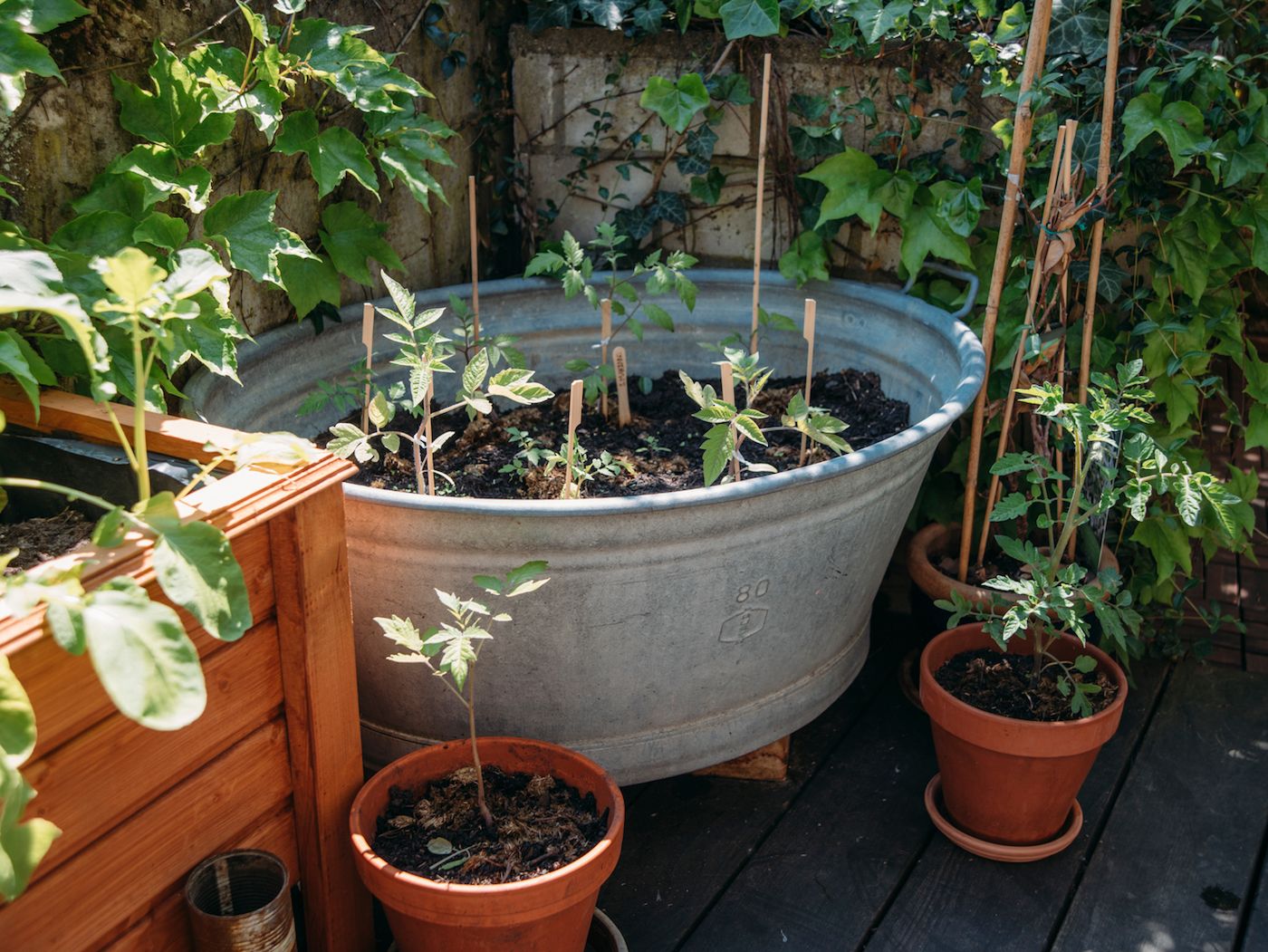 Contain Your Enthusiasm