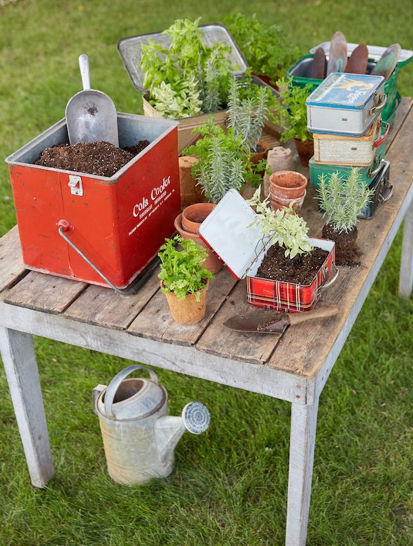 Rustic table being used as a potting table for an outdoor party.