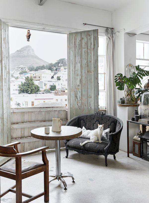 Neutral living space with vintage furniture and white cat.
