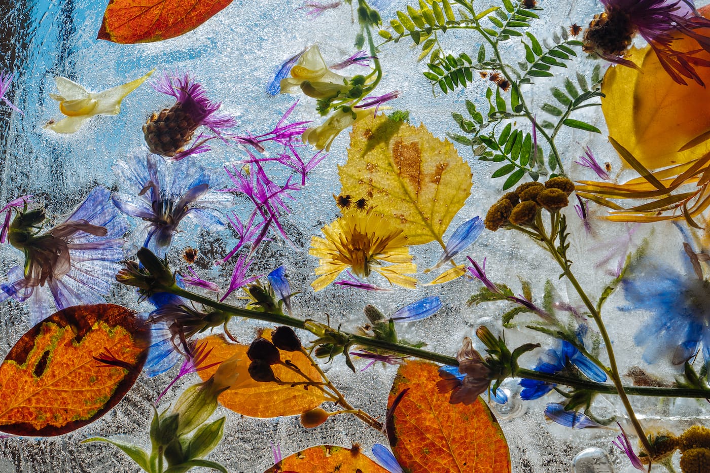 September Newsletter