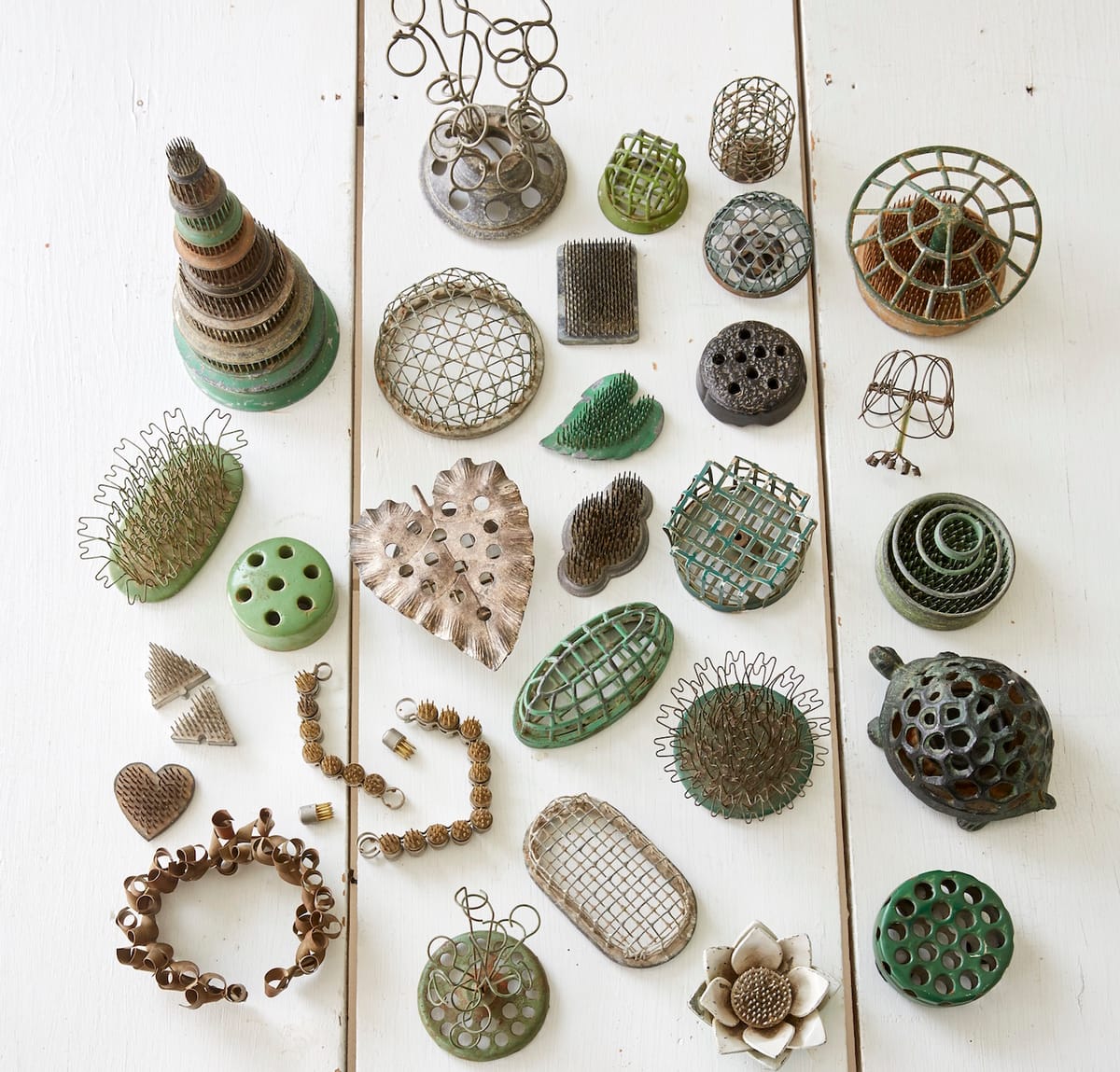 Collector CloseUp Flower Frogs