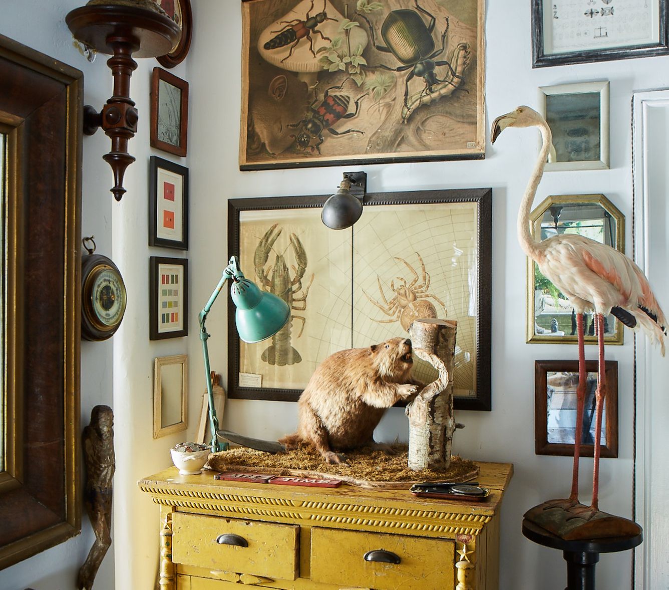 Glorious Gallery Walls—Lesson 3